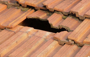 roof repair Dudleston, Shropshire