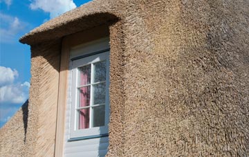 Dudleston thatch roof disadvantages